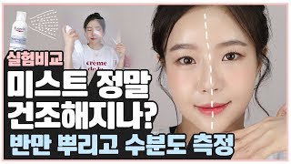 미스트 오히려 건조하다? 미스트 진짜 효과있을까!? [민가든 실험실]