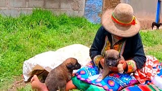 Me Da MIEDO ¿ De NOCHE GRITAN los PERROS ?  80 AÑOS VIVIENDO SOLA en el CAMPO | TIA MAURICIA |