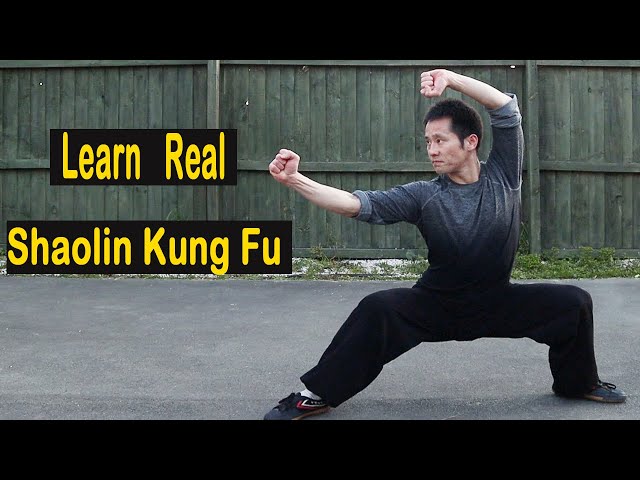 Kung Fu Moves For Beginners