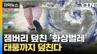 [자막뉴스] 태풍 '카눈'도 온다...잼버리 또다시 '비상' / YTN