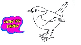 How to draw a Robin Bird step by step easy