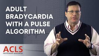 Adult Bradycardia with a Pulse Algorithm | ACLS Certification Association