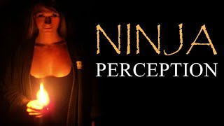 Ninja Perception: Understanding Truth in Reality | Ninjutsu Martial Arts Training Techniques (Ninpo)