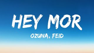 Ozuna, Feid - Hey Mor (Letra/Lyrics)