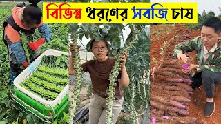 বিভিন্ন ধরণের সবজি চাষ | Cultivation of various vegetables | #vegetablecultivation #homegardening