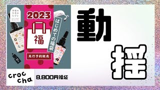 【croccha】なんだこれは‥8,800円の福袋を開封した結果【福袋】【福袋2023】【レジン】【作家のためのレジン】