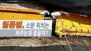 월동벌의 소문 위치를 바꾸는게 좋을까?