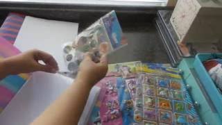 Daiso and Dollar Tree Sticker Organizer System - Organize with Me