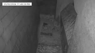 Live Camera Axis M2036-LE