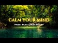 Relaxing Sleep Music | Calming Music for Stress Relief, Meditation, and Peaceful Sleep I