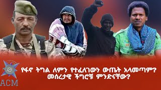 የፋኖ ትግል ለምን የተፈለገውን ውጤት አላመጣም? መሰረታዊ ችግሮቹ ምንድናቸው?