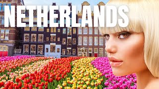 The Untold Story: How the Netherlands Emerged, Developed and Got Rich