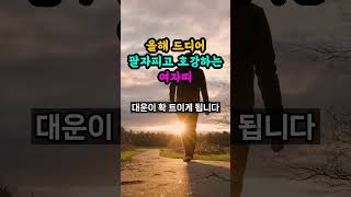 을사년에 팔자피고 대운이 들어오는 여자띠 호명합니다.