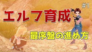 【マビノギ】転生したタイトルはさっさとつけておこう【エルフ育成】