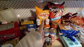 Low income/budget grocery haul. Single mom with teenage boys. plus homemade dog food!