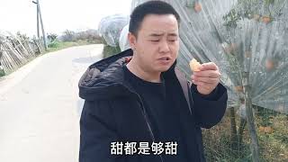 王婆卖瓜，一般都是自卖自夸，老三两口子不一样，自己损自己