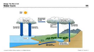 Nutrient Cycles Notes