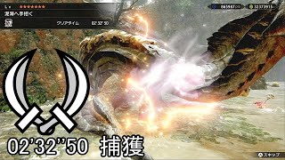 【MHRise Switch】集★7 泥海へ手招く オロミドロ 双剣 ソロ 2'32''50/ A Muddy Invitation Almudron Dual Blades Solo