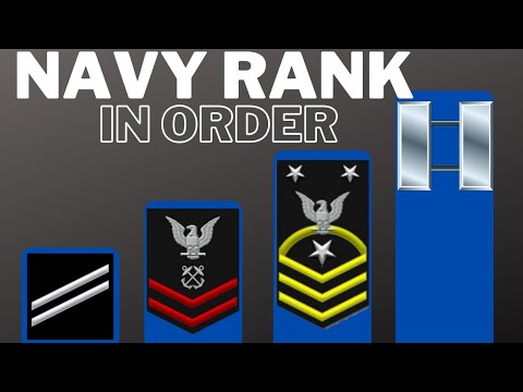 What does a chief petty officer wear?