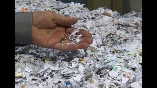 Off Site Document Shredding