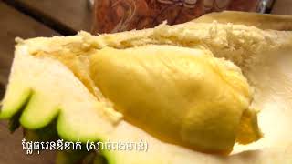 ចំការធុរេន ពូហ៊ត់ សំឡូត ខេត្តបាត់ដំបង