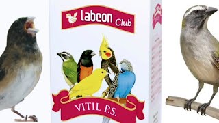 VITIL P.S.  suplemento vitamínico para desnutrição  peito seco