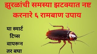 या स्मार्ट टिप्स वापरून तर बघा |आणि घरातील झुरळ कायमचे घालवा cockroach bhagane ka tarika