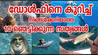 Top 10 Unbelievable Facts about Dolphin | ഡോള്‍ഫിനെ കുറിച്ച് ഞെട്ടിക്കുന്ന 10 സത്യങ്ങള്‍