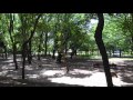 test roka koen park setagaya tokyo