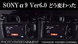 #141 【How to】SONY α9 Ver6.0 はどう変わった