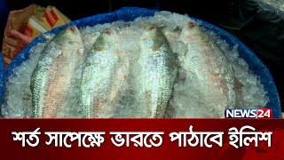 ইলিশ রপ্তানি না করার অবস্থান থেকে সরে এসেছে সরকার | Hilsha Fish | News24