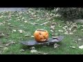 smokin pumpkin hd