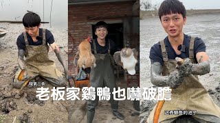 水猴子登場，不僅塘中鱔魚遭了殃，老板家雞鴨也嚇破膽#viralvideo #捕魚