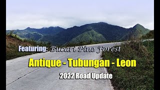 Antique - Leon Road Update // Bucari Pine Forest