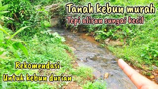 Dijual Tanah Murah Tepi Aliran sungai kecil.Cocok juga untuk kebun durian.Luas 420m² harga 30jt