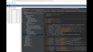 NetSuite Analytics Scripting Tutorial