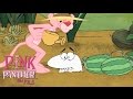 Pink Panther, Panther of the World! | 50 Minute Nature Compilation