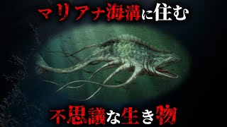 【実在】世界で最も深い海マリアナ海溝に住む不思議な生物4選がヤバすぎた...。【 生き物 最深部 怪物 】