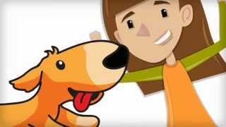Pet Microchip Registration - How It Works