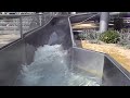 waterslide onslide aquapark flosna hradec kralove