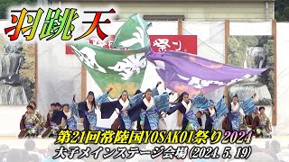 ｢羽跳天｣ 第21回常陸国YOSAKOI祭り2024 大子メインステージ