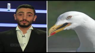 BBCHI   Episode 14 عباس نزل على الأرض!.. ماهي ردة فعل الشارع اللبناني على المحاصصة النفطية؟