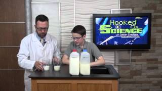 Milk Bubbles Experiment of the Week