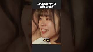 나까지 울려버리는 1,002명의 요아소비