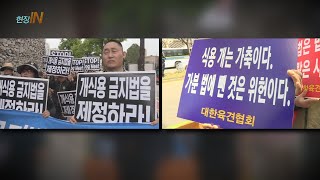 [현장IN] 복날 앞두고 또다시 개고기 찬반 논란 / 연합뉴스TV (YonhapnewsTV)