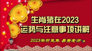 2023年生肖猪的运势与注意事项讲解