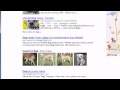 MySQL Database Tutorial - 25 - Full-Text Searching