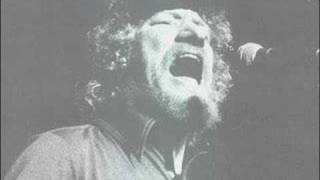 The Dubliners - The Wild Rover (live)