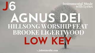 Hillsong Worship | Agnus Dei Instrumental Music with Lyrics Low Key