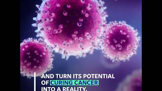 Reprogramming Cells to Destroy Cancer